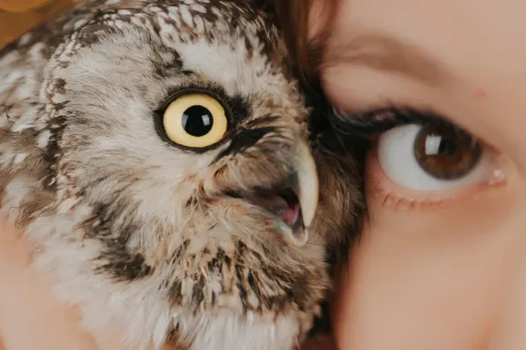 Kasino AllStar Slots Podpora